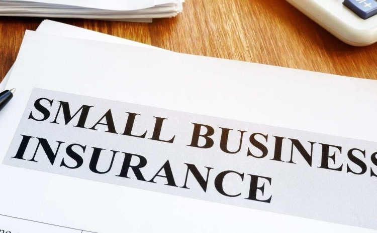  Navigating the Essentials: A Guide to Small Business Insurance 